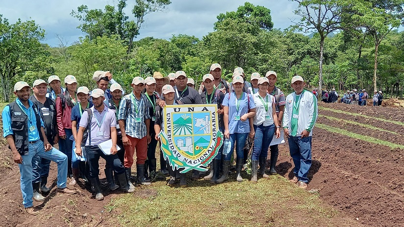 CAMPO
